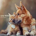 Ferien Residenz Thueringer Wald Masserberg