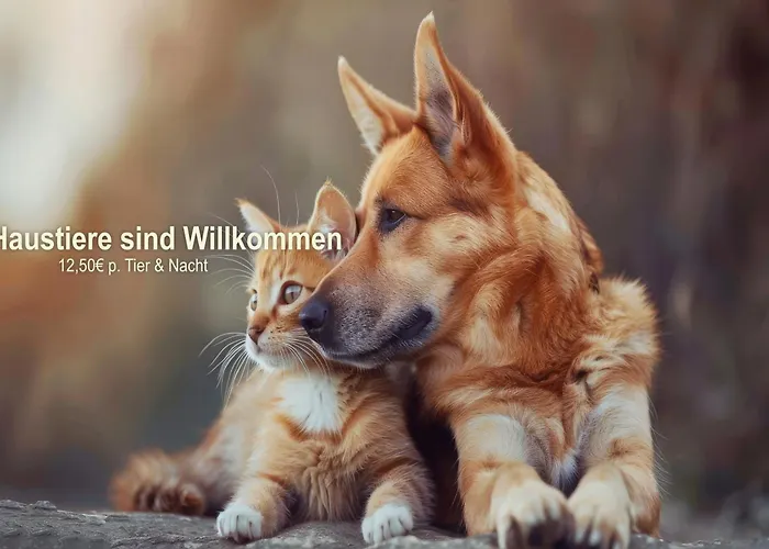 Ferien Residenz Thüringer Wald Masserberg